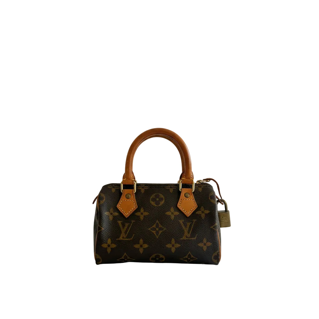 Louis vuitton speedy mini