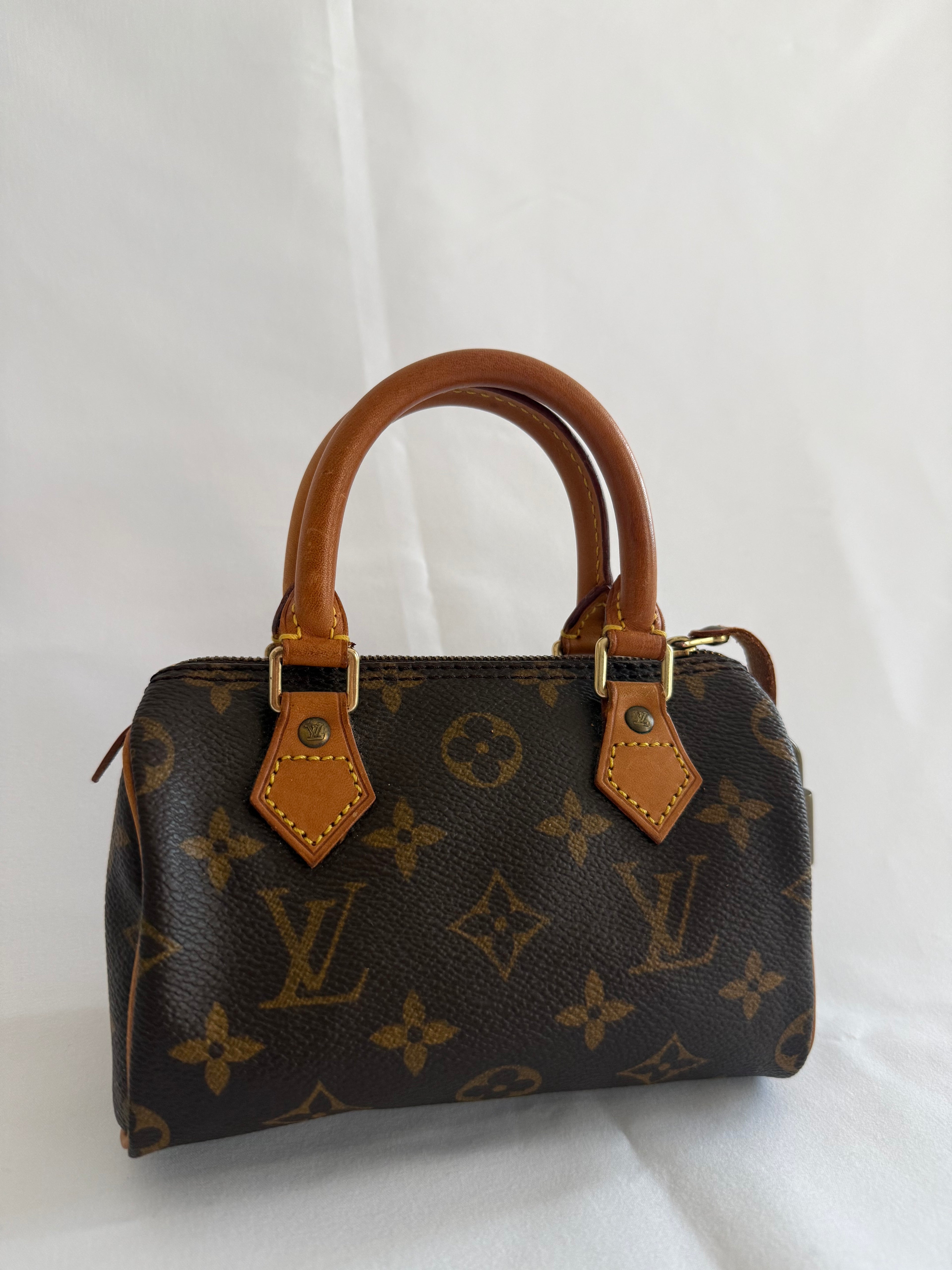 Louis vuitton speedy mini