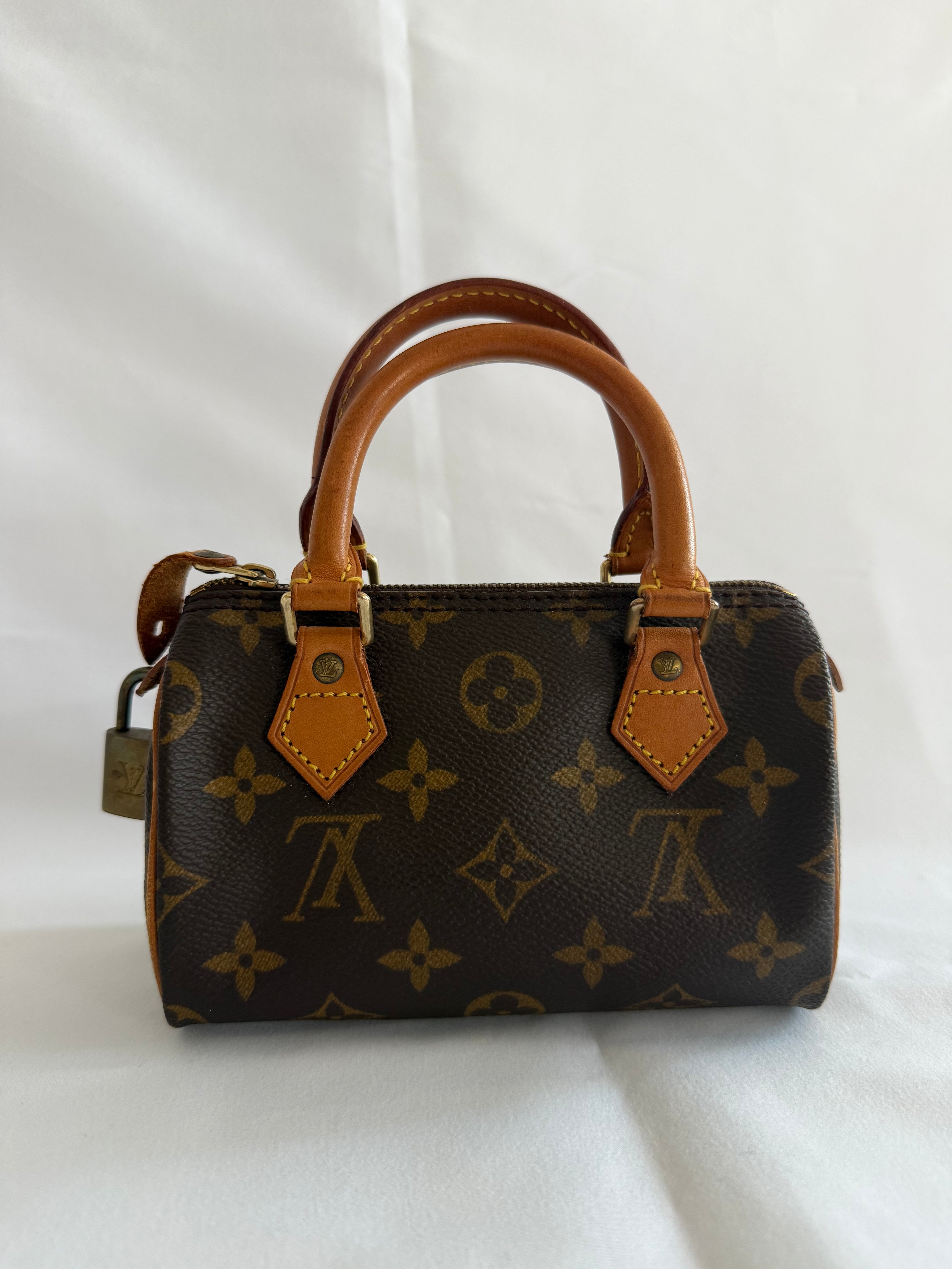 Louis vuitton speedy mini