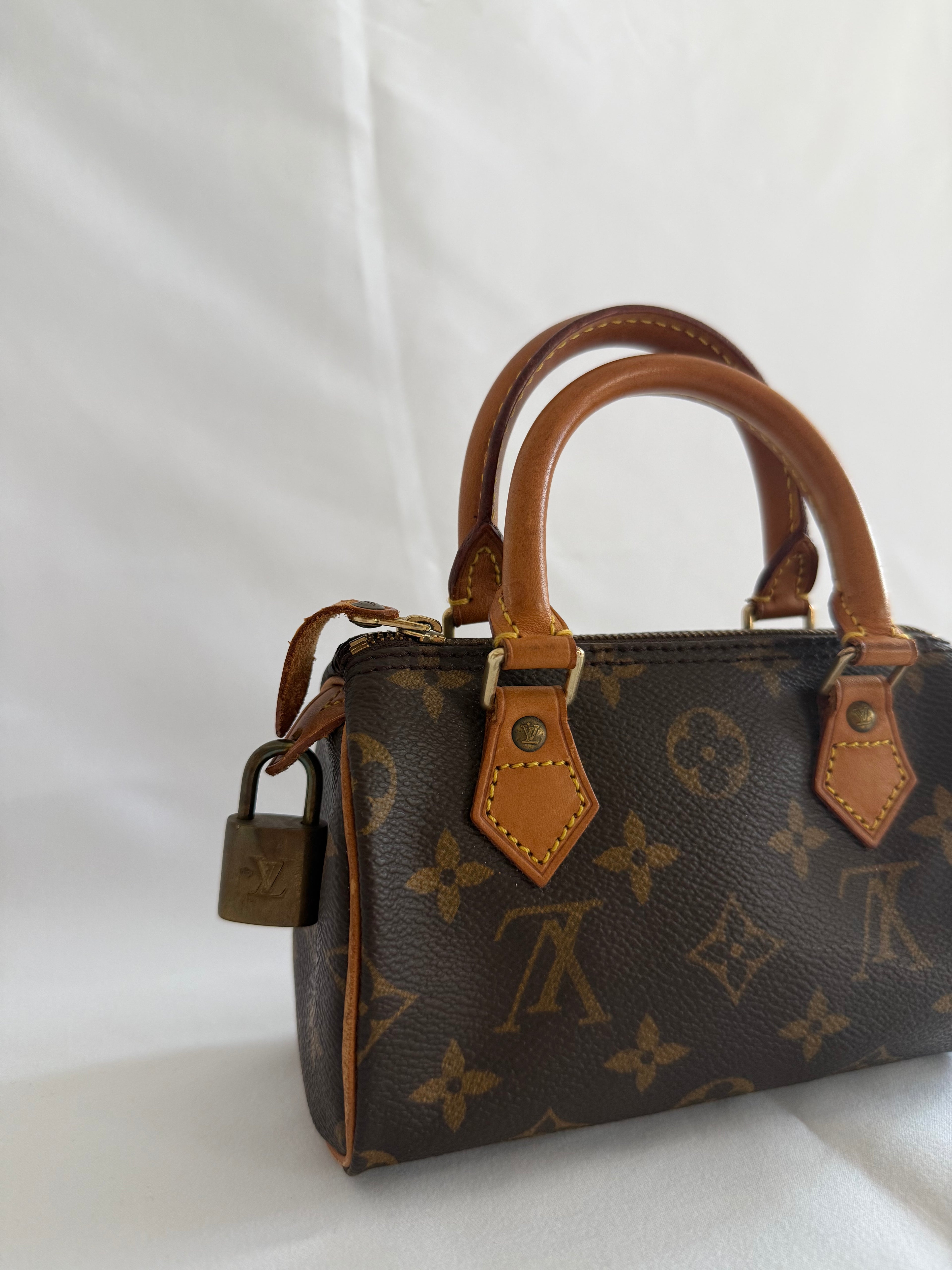 Louis vuitton speedy mini