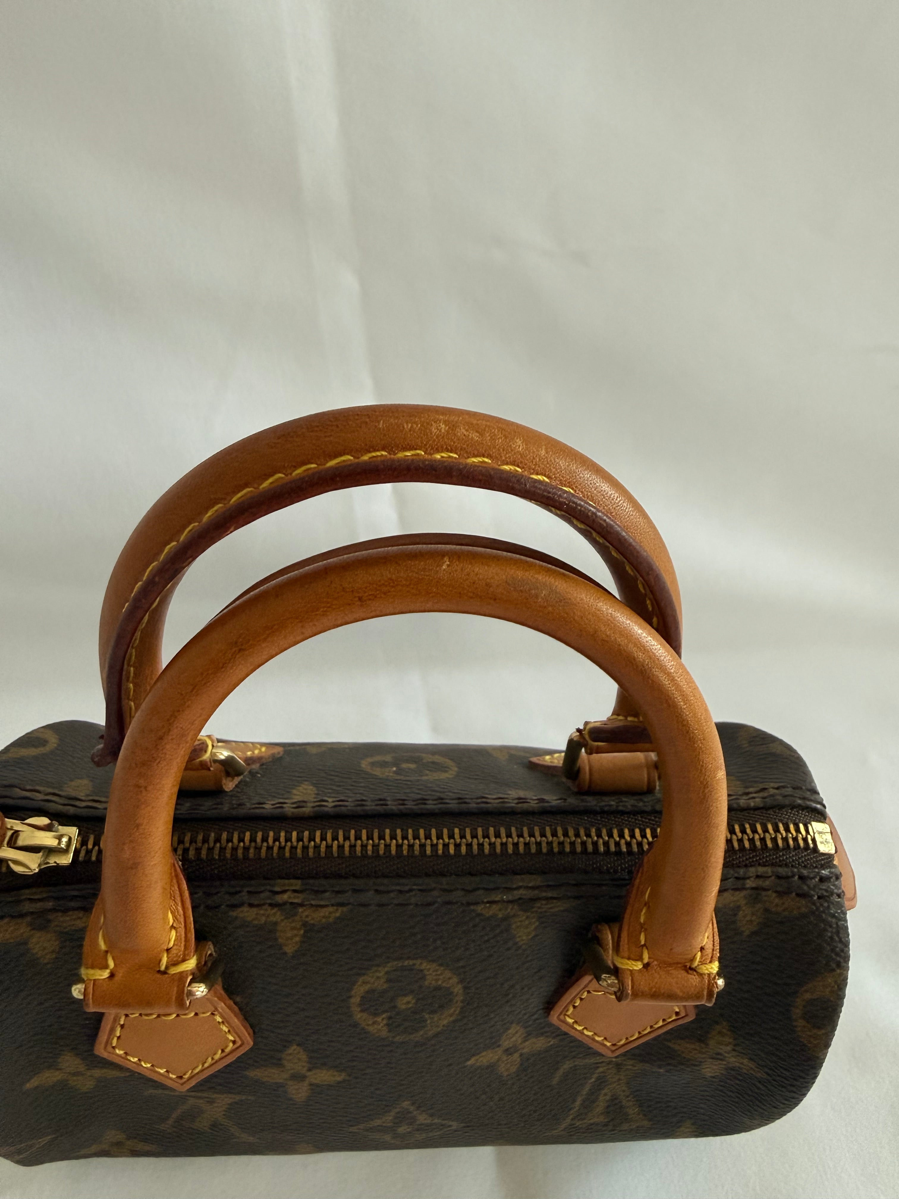 Louis vuitton speedy mini