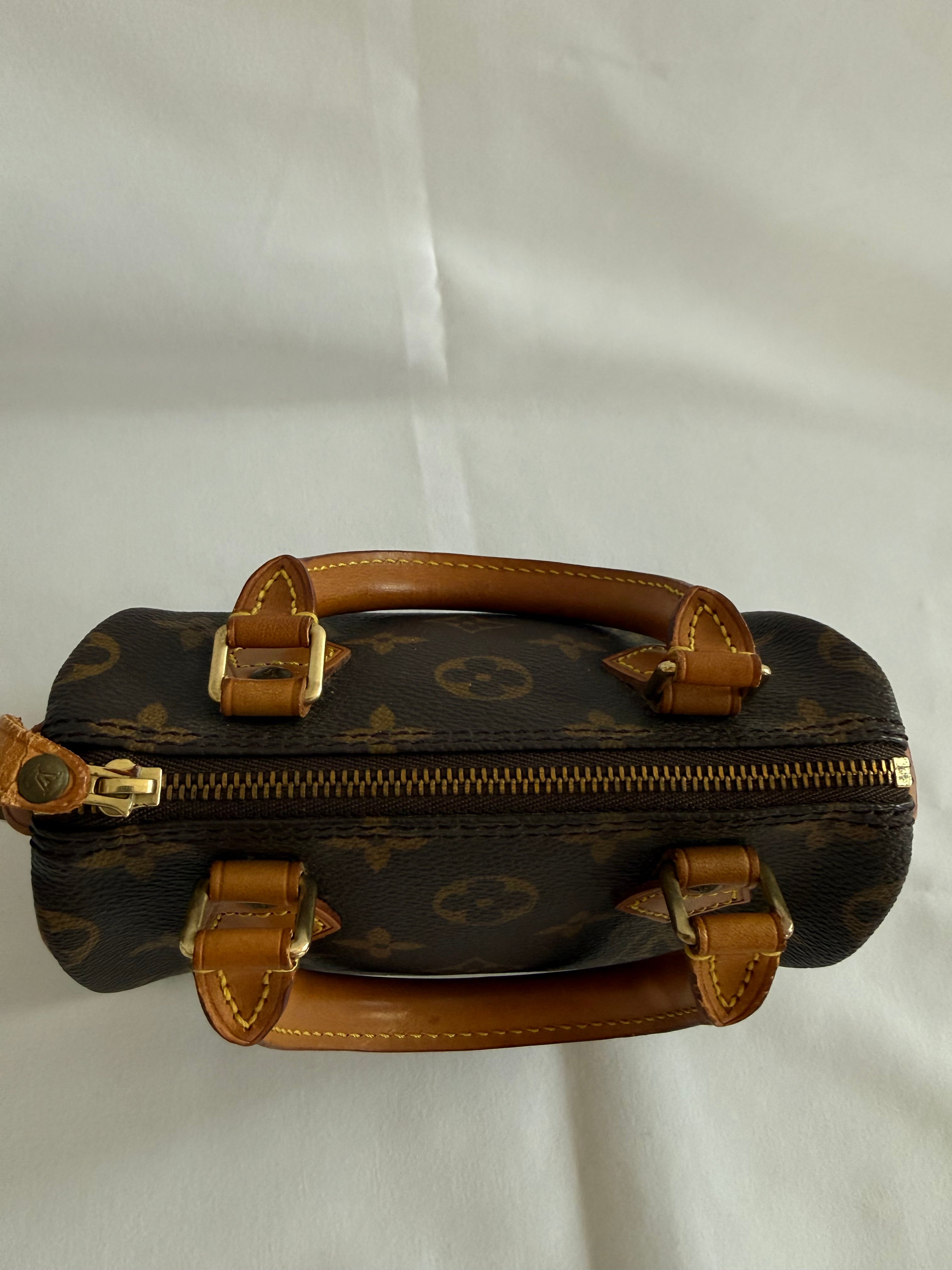 Louis vuitton speedy mini