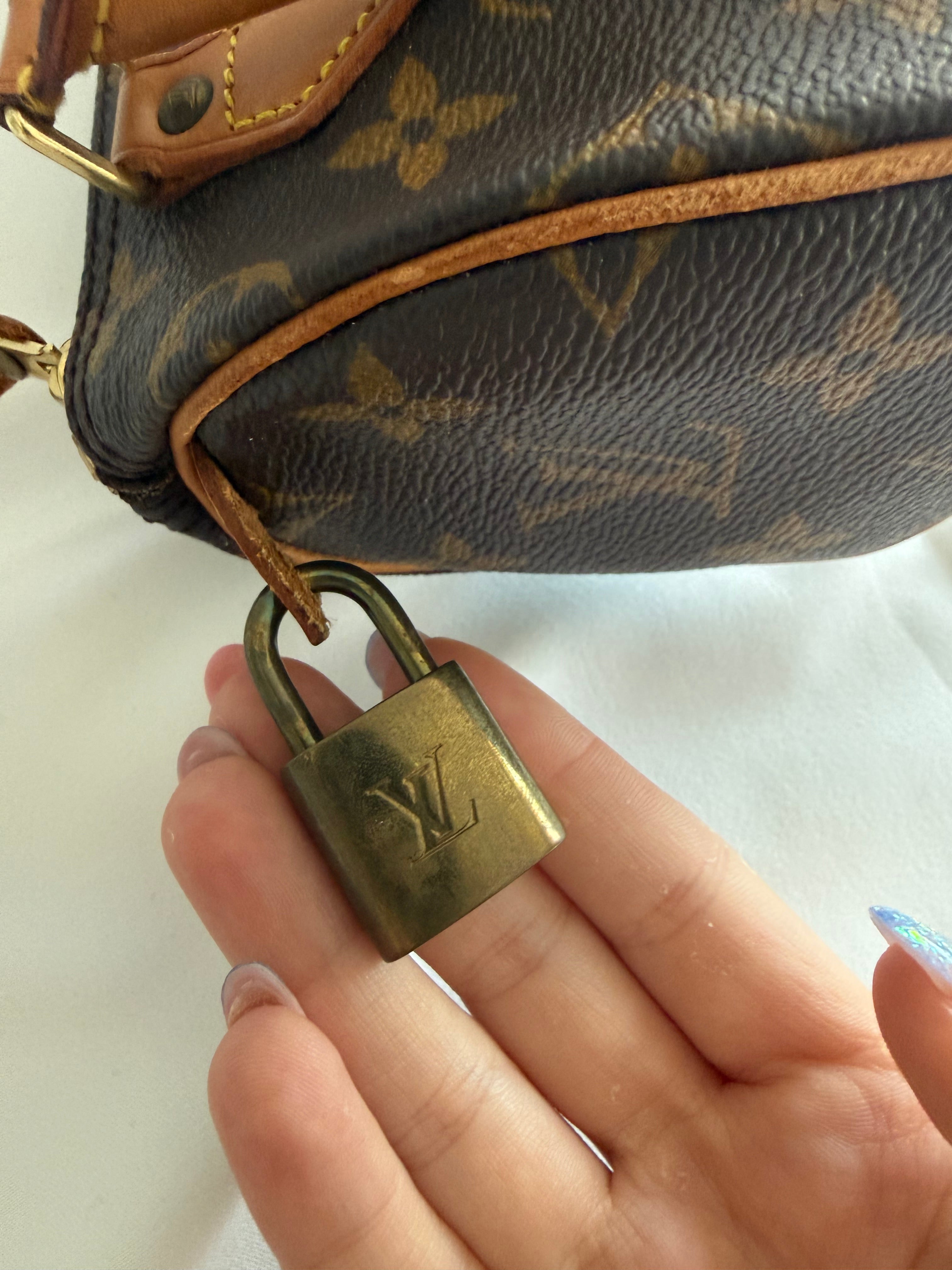 Louis vuitton speedy mini