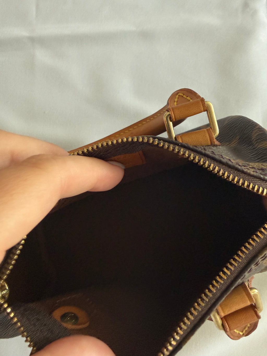 Louis vuitton speedy mini